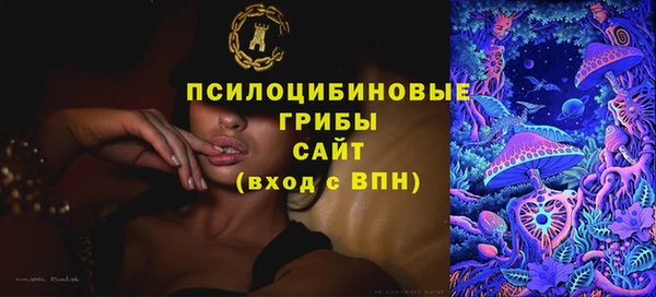 МДПВ Абдулино