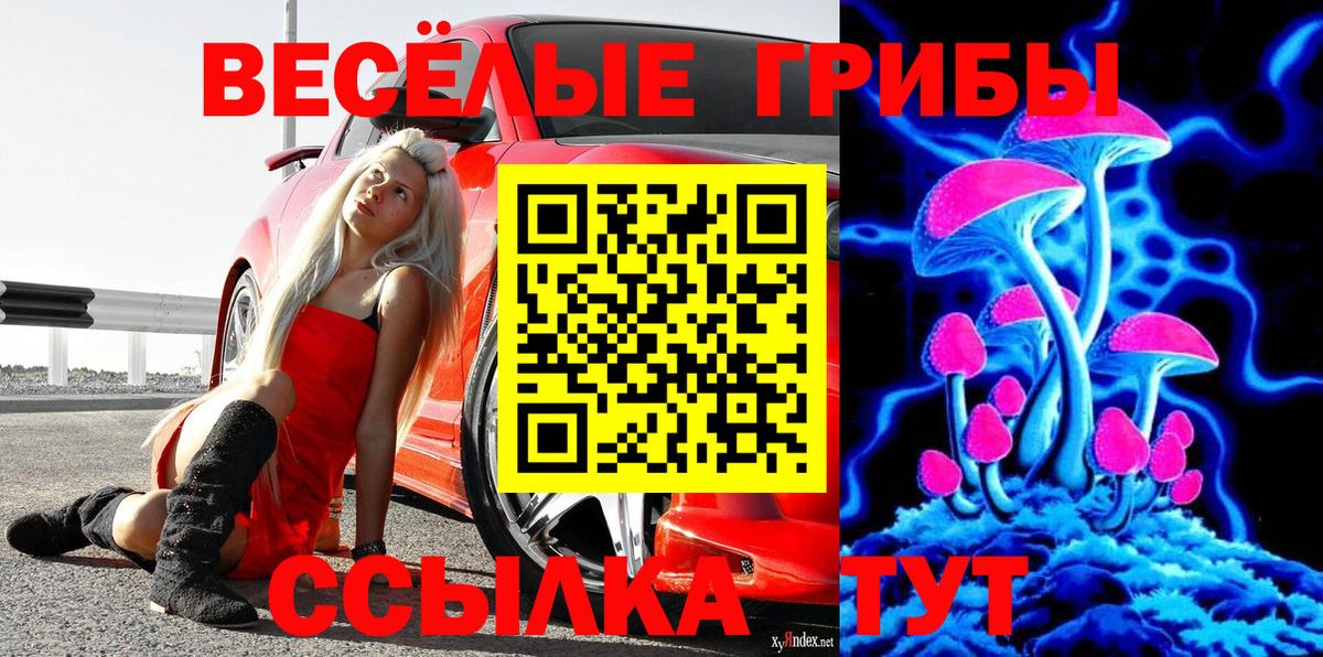 Кисловодск  Псилоцибиновые грибы Magic Shrooms  Вход с VPN 