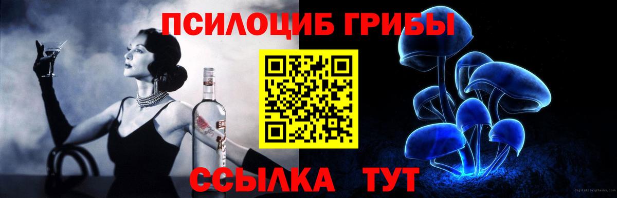 Псилоцибиновые грибы прущие грибы Кисловодск