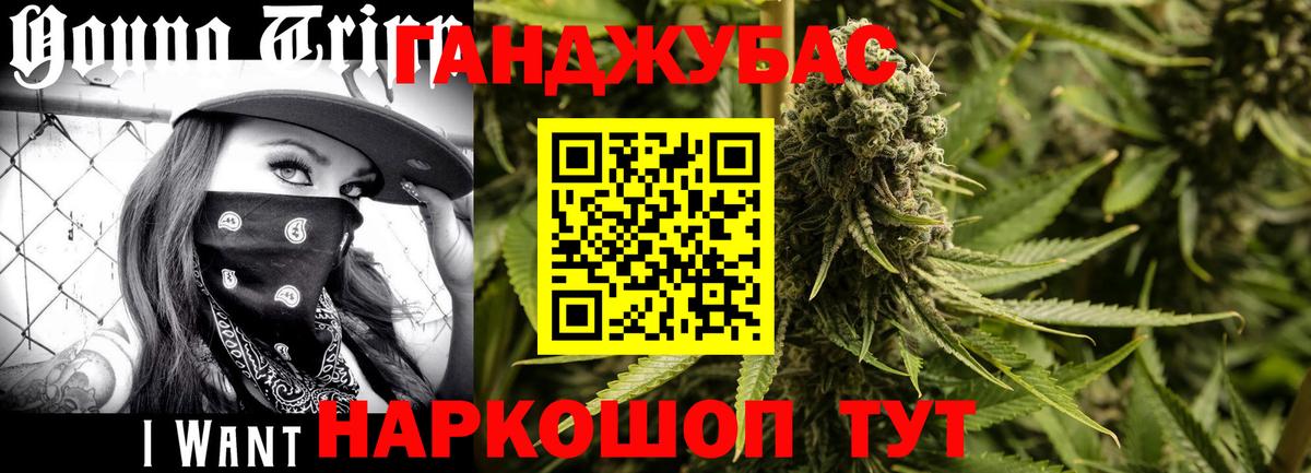 МАРИХУАНА сатива Кисловодск